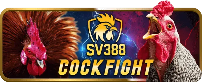 Luật chơi và mẹo cược các game phổ biến